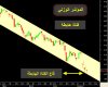 القرش.jpg