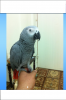 IMG_0994.PNG