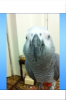 IMG_0995.PNG