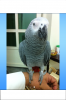 IMG_0996.PNG