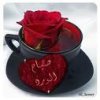 CAPQQG6ECA5CF93DCA86F45JCAUGZRKXCAFZ25X5CA41MP8KCALERGL2CA73X5HMCAH100TVCA6OCD4DCAEYOUQ6CALL487K.jpg