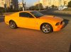 موستنق4.jpg
