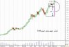 tasi14-w.jpg