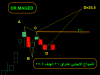 INVESTOR +VE.png