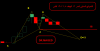 INVESTOR-VE.png