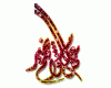 eid7.gif