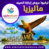 احمد راشد2.jpg