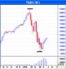 tasi W.jpg