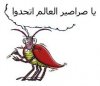 صراصير.jpg