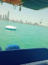 IMG_20240525_112516_1.jpg