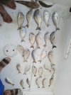 IMG-20240607-WA0001.jpg
