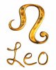 leo1.JPG