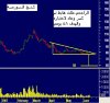 الراجحي يومي.JPG