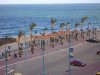 DSC00005.jpg
