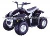 70cc-170kd.jpg