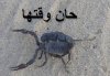 عقرب.jpg