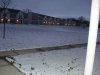 DSC00308.JPG