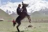 فزه اصيله.jpg