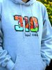 310.jpg