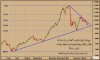 تاسي ديلي.jpg