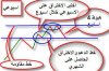شارت اسبوعي شرح.jpg