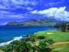 golfhawaiiyj7.jpg