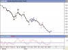 P INDEX RSI NOV HOURLY 2008.jpg