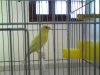 DSC00012.jpg