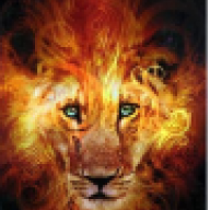 Master-Leo