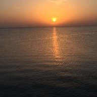 النسبة