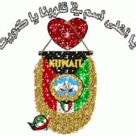الوسيط الذهبي