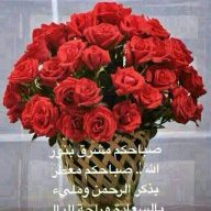 901Abdelaziz