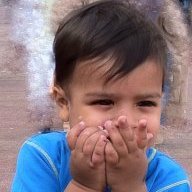 sarheed