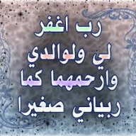المستفسر
