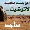 bo-rashed 2