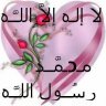 فارس الإسلام