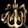 رضا محمد