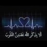 Meshal_