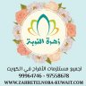 النوبي