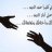 الوليد q8